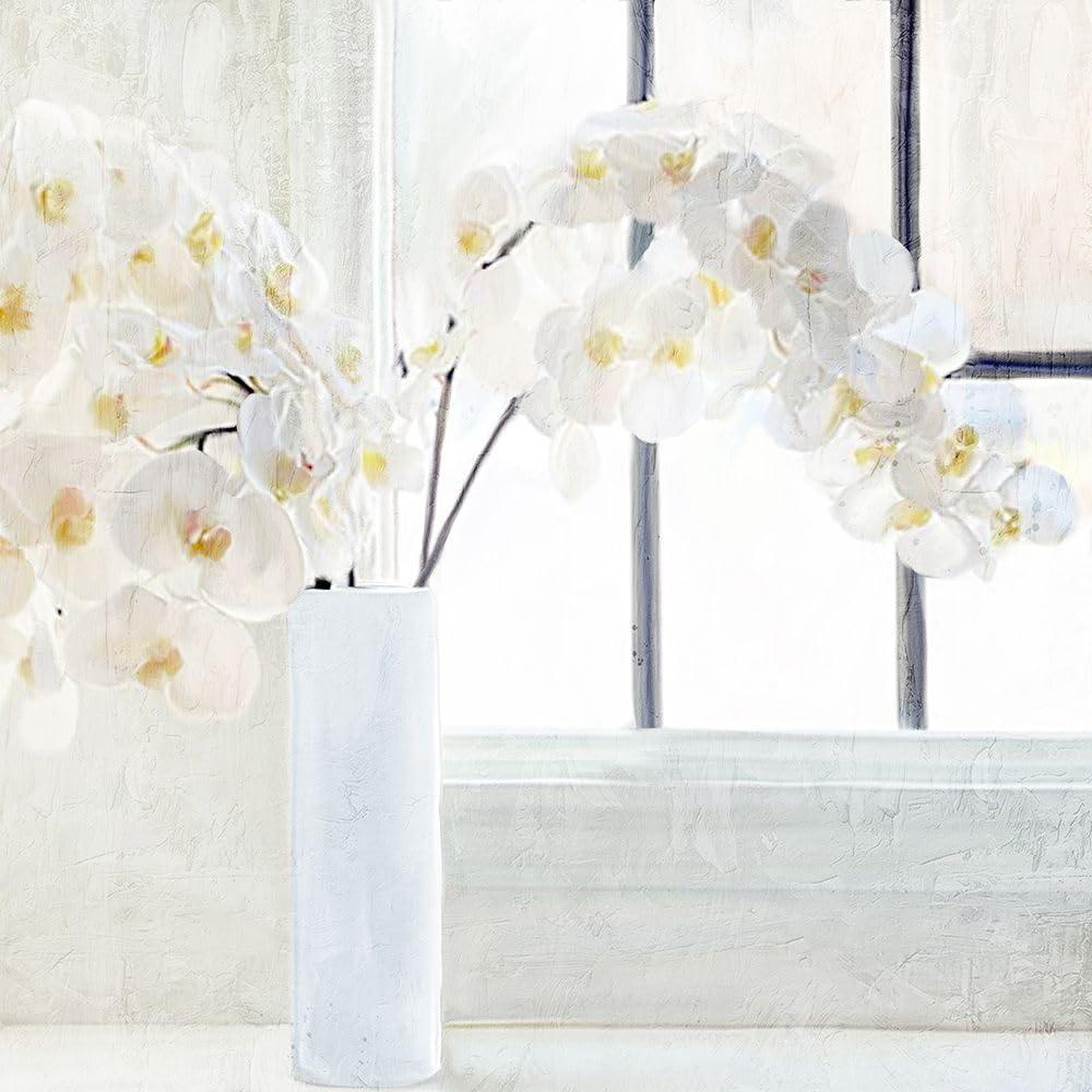 Posterazzi Orchid Stems Poster Print - Kimberly Allen (24 x 24)