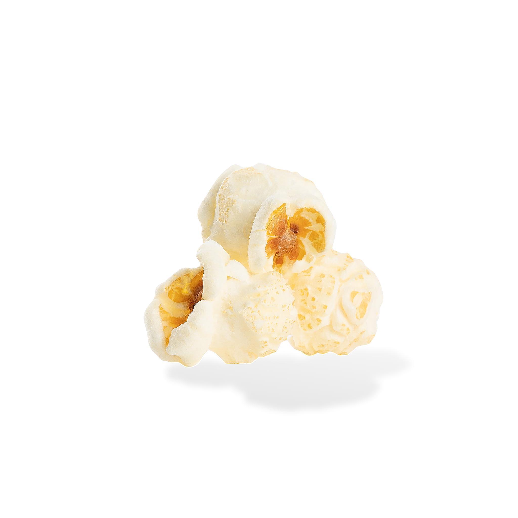 City Pop Salt & Vinegar Gourmet Popcorn | 6 Cups Total | Made From Scratch, Made in USA, & GMO-Free | Great as a Snack, Gift, Thank You, & Movie Night - (4.8oz Total)