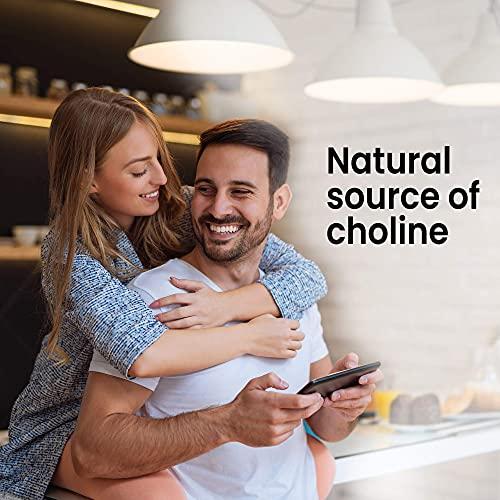 Lewis Labs Lecithin Granules Supplement | Natural Soy Lecithin Powder is an Excellent Source of Phosphatidyl Choline | Lactation Support, Immune Function & Support Brain Health, 16 oz