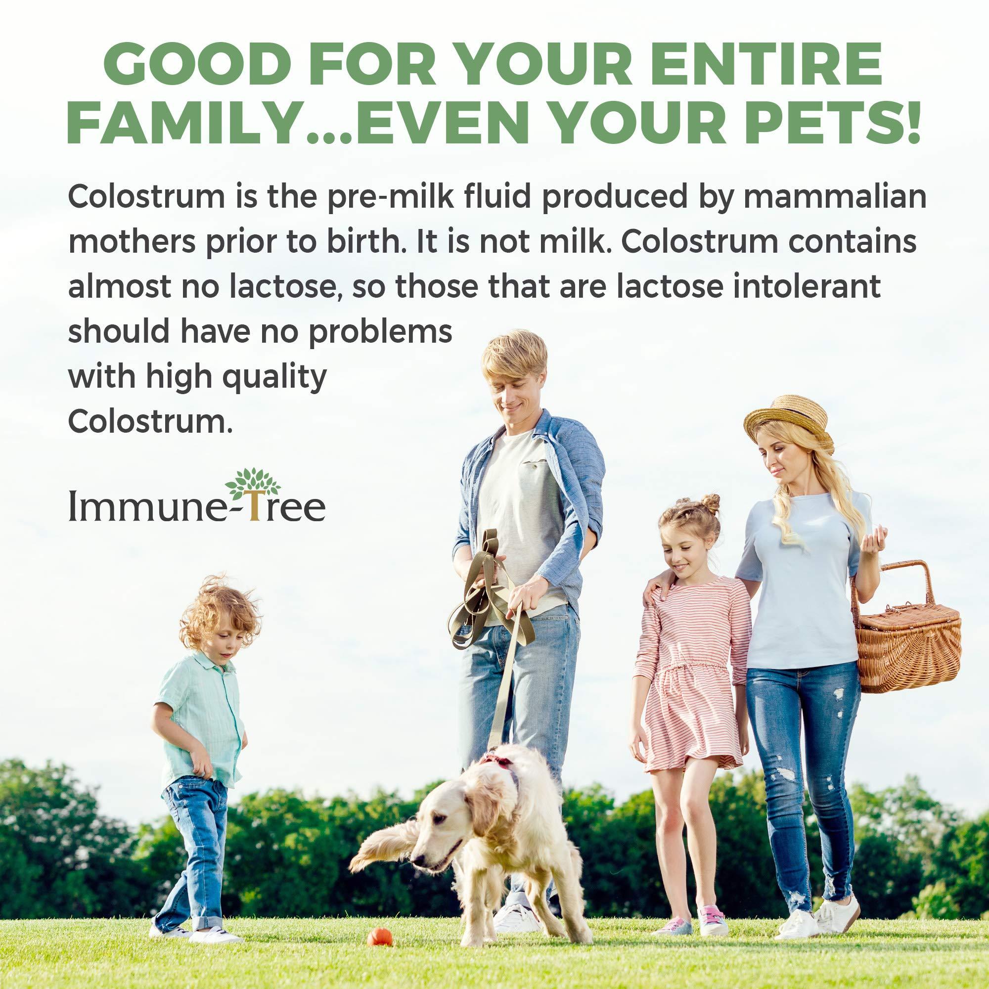 Immune Tree, Inc. Immune-Tree 100% Bovine Colostrum Powder, 120 Servings, 6.5oz, Supports Anti-Aging, Healthy Immune System, Gut & Digestion, Muscle & Tissue, & Wellness, Made in USA from Grass Fed, Grade A Dairy Cows