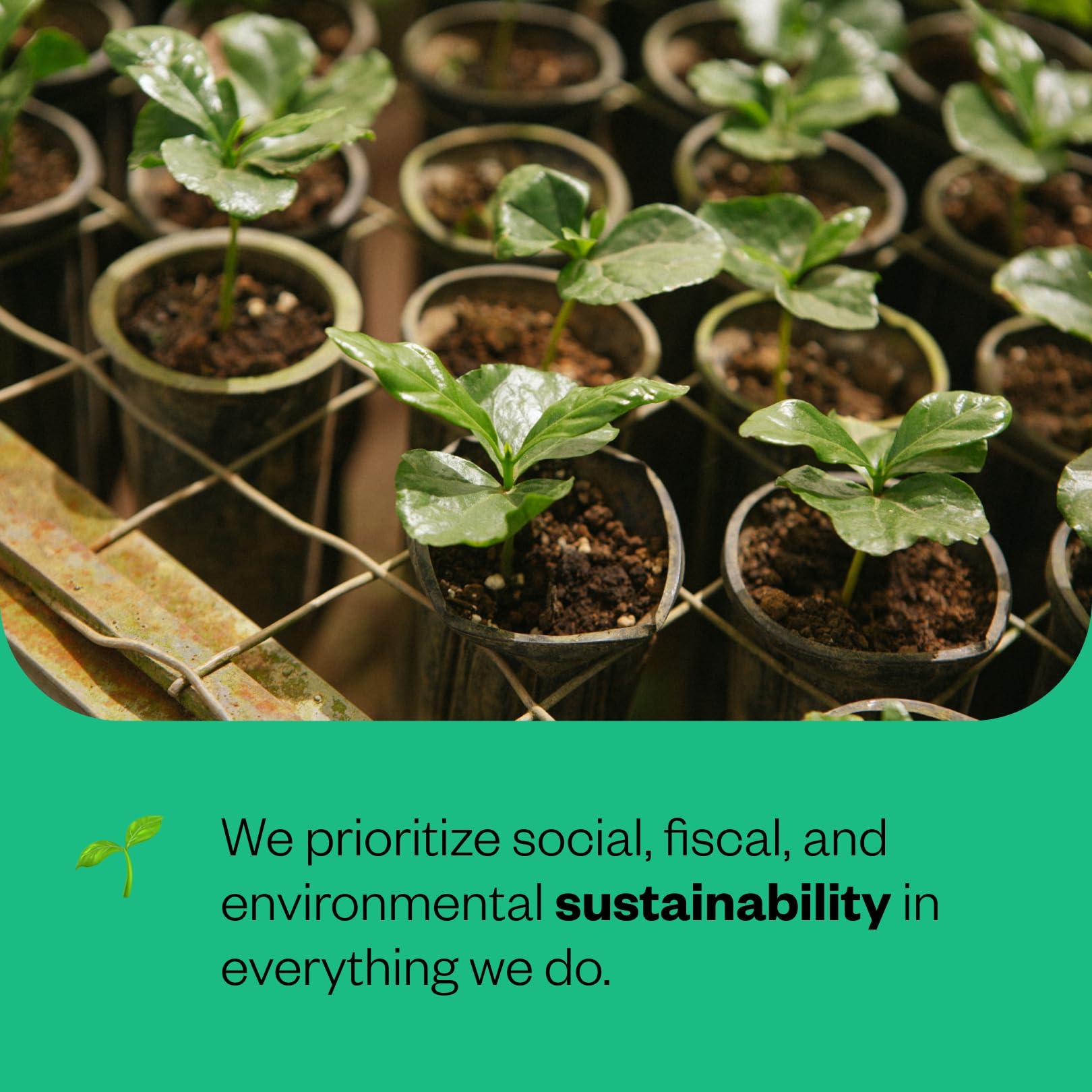 Counter Culture Coffee Counter Culture Coffee Big Trouble - Medium Roast, Sustainably Farmed, Kosher, Whole-Bean Coffee, 12oz (1 Bag)