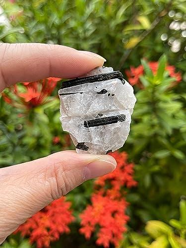 GAF TREASURES WHOLESALE Raw Black Tourmaline with Quartz Crystals, Natural Black Tourmaline with Quartz Stone, Rough Black Tourmaline Quartz, Healing Crystals (Black Tourmaline with Quartz, 0.5 Pound)