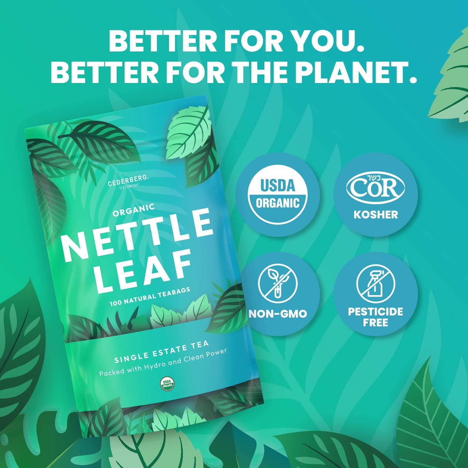 Cederberg Tea Company Organic Nettle Leaf Tea — 100 Tea Bags | Organic Herbal Tea From Single Origin | Eco-Friendly Tea Bags | Non-GMO Caffeine Free Tea With Zero Sugar | Cederberg Tea Company