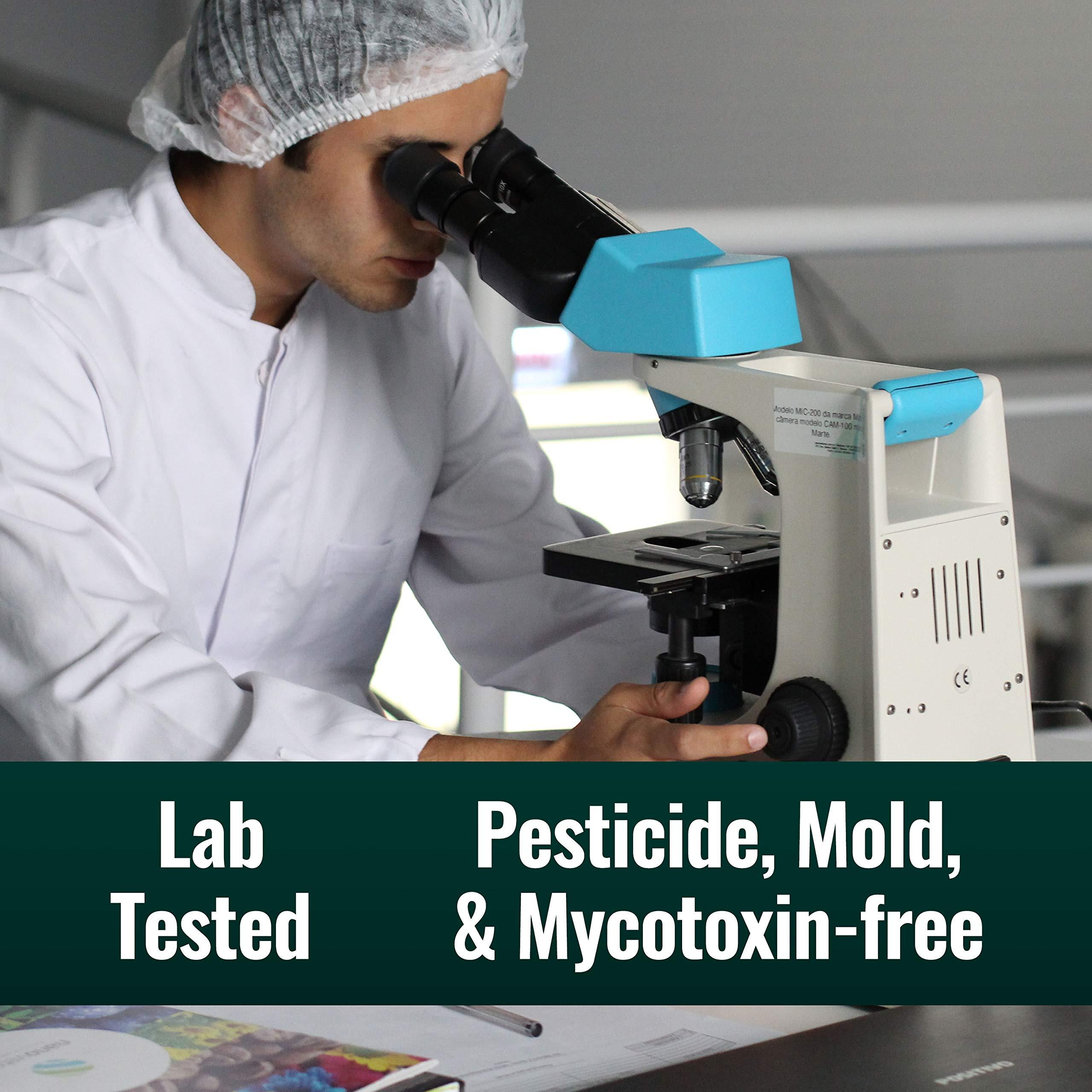 Natural Force Natural Force - Organic Clean Coffee Classic, Mold & Mycotoxin Free, Lab Tested for Toxins & Purity, Low Acidity, Incredible Taste & Aroma, Ground Medium Roast, 10 oz