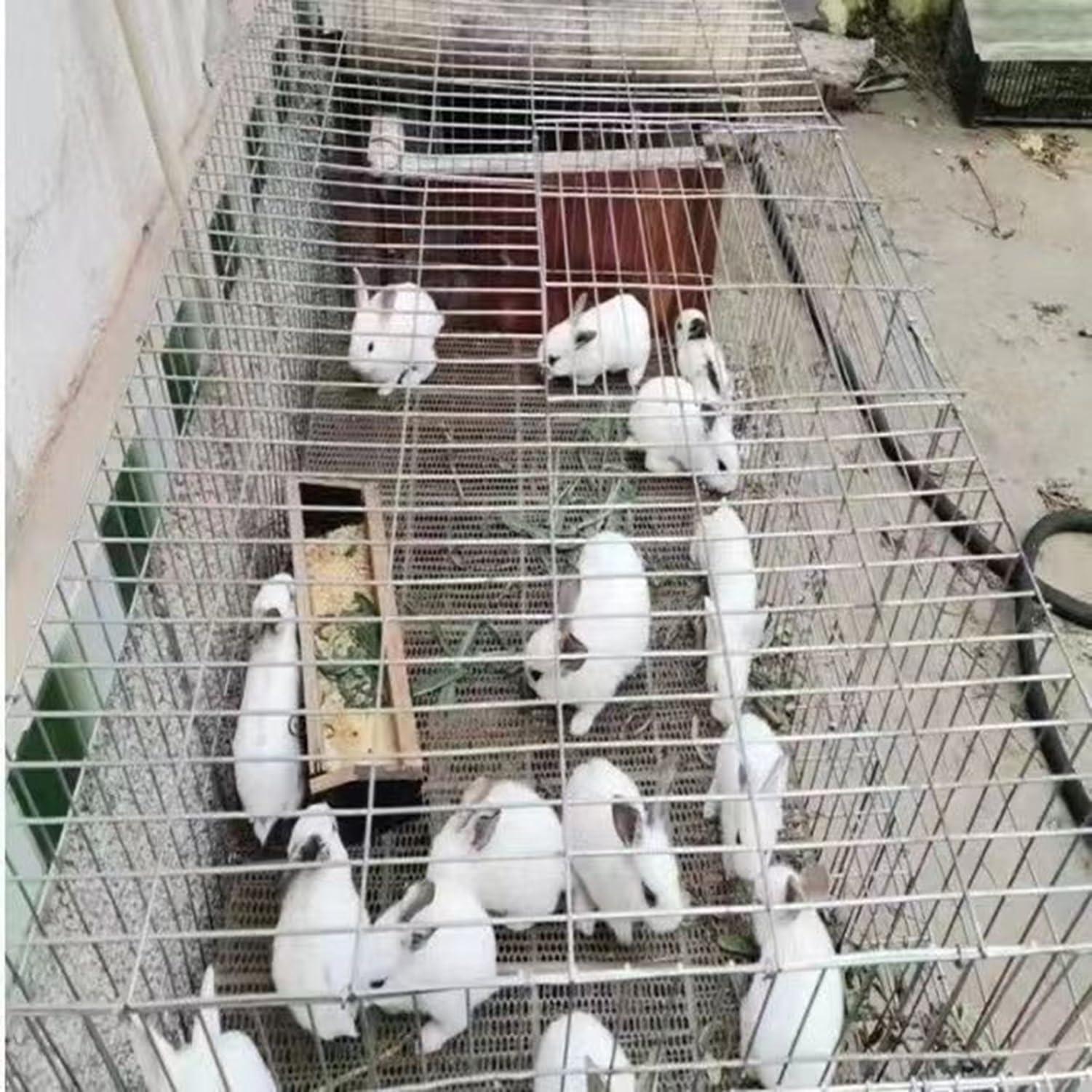 SEVEEZ SEVEEZ Quad Cane Adjustable Tetrapod Walking Stick with Four Leg Wide Base Aluminum Lightweight Standing Walking Aid (Color : Red)