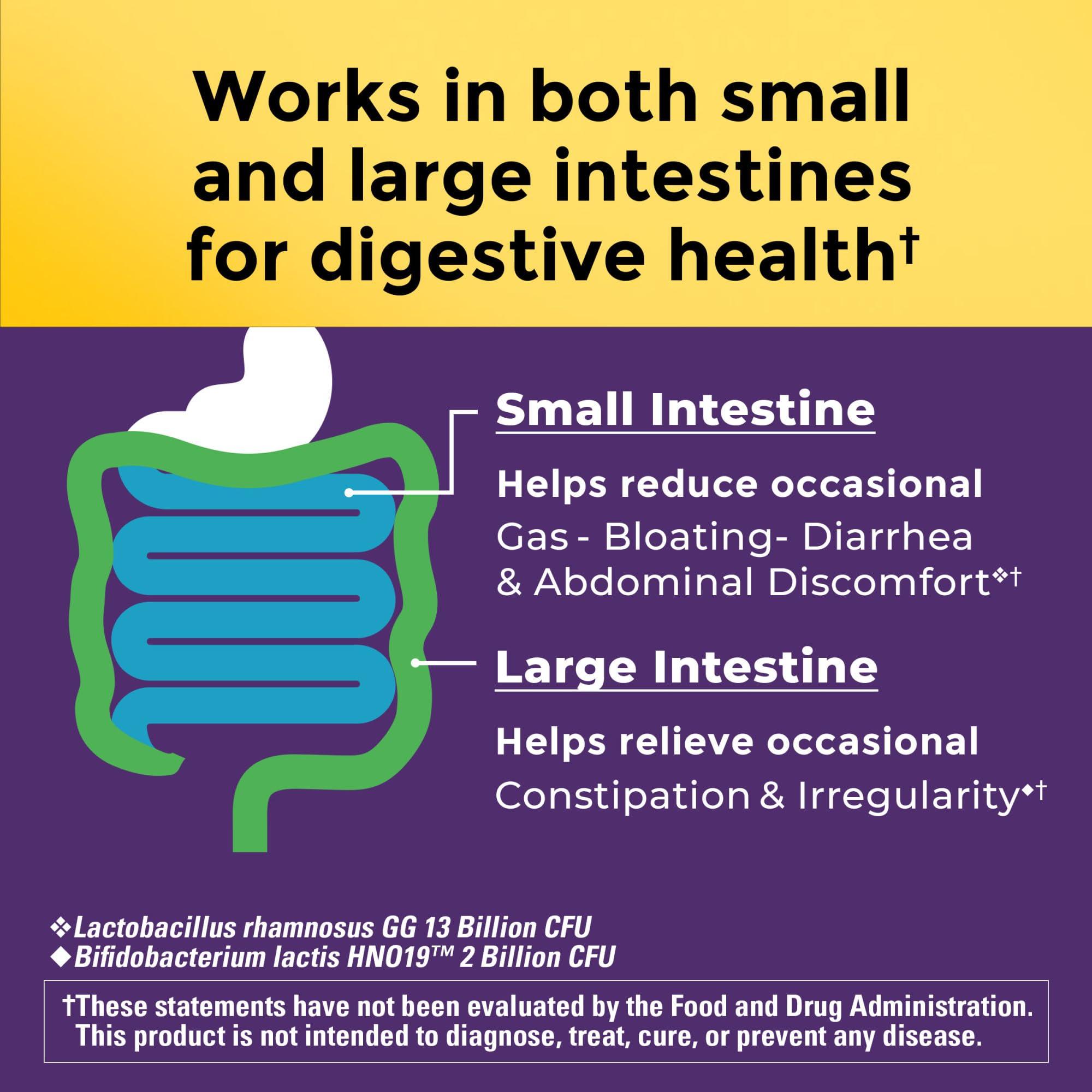 Nature Made Nature Made Probiotics for Digestive Health Extra Strength 15 Billion CFU from Live Cultures, Probiotics for Women and Men, 30 Probiotic Capsules, 30 Day Supply