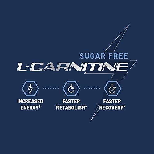 Snap Supplements Sugar Free L Carnitine 500mg Gummy - Natural Pre Workout L-Carnitine Supplement - Increased Energy, Faster Recovery, Boost Metabolism, Pre Workout for Women & Men, Blueberry Flavor (60 Gummies)