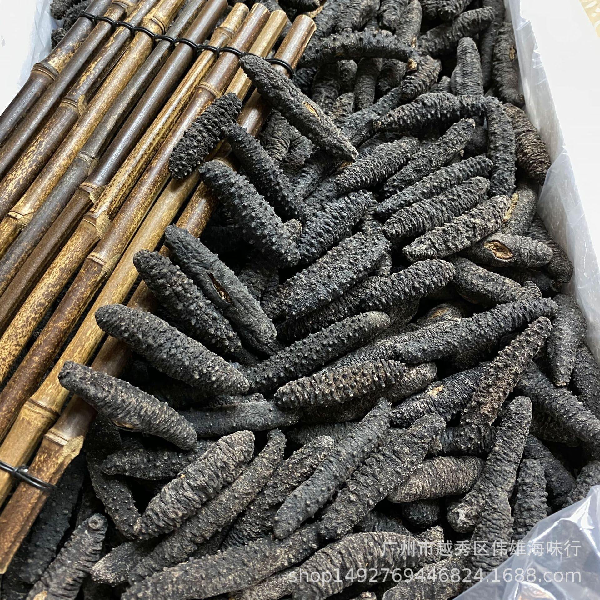 Generic Generic Hose Dryer with Filter Compatible with CPAP and BIPAP Hoses, USB Powered and Nearly Silent. (Include Both AC Adapter and Speed Control/Timer), Black