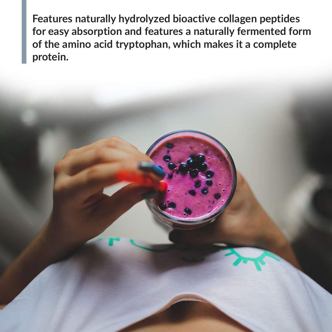 BioTrust BioTrust Ageless Multi Collagen 5-in-1 Protein Powder (Vanilla) BlenderBottle Bundle