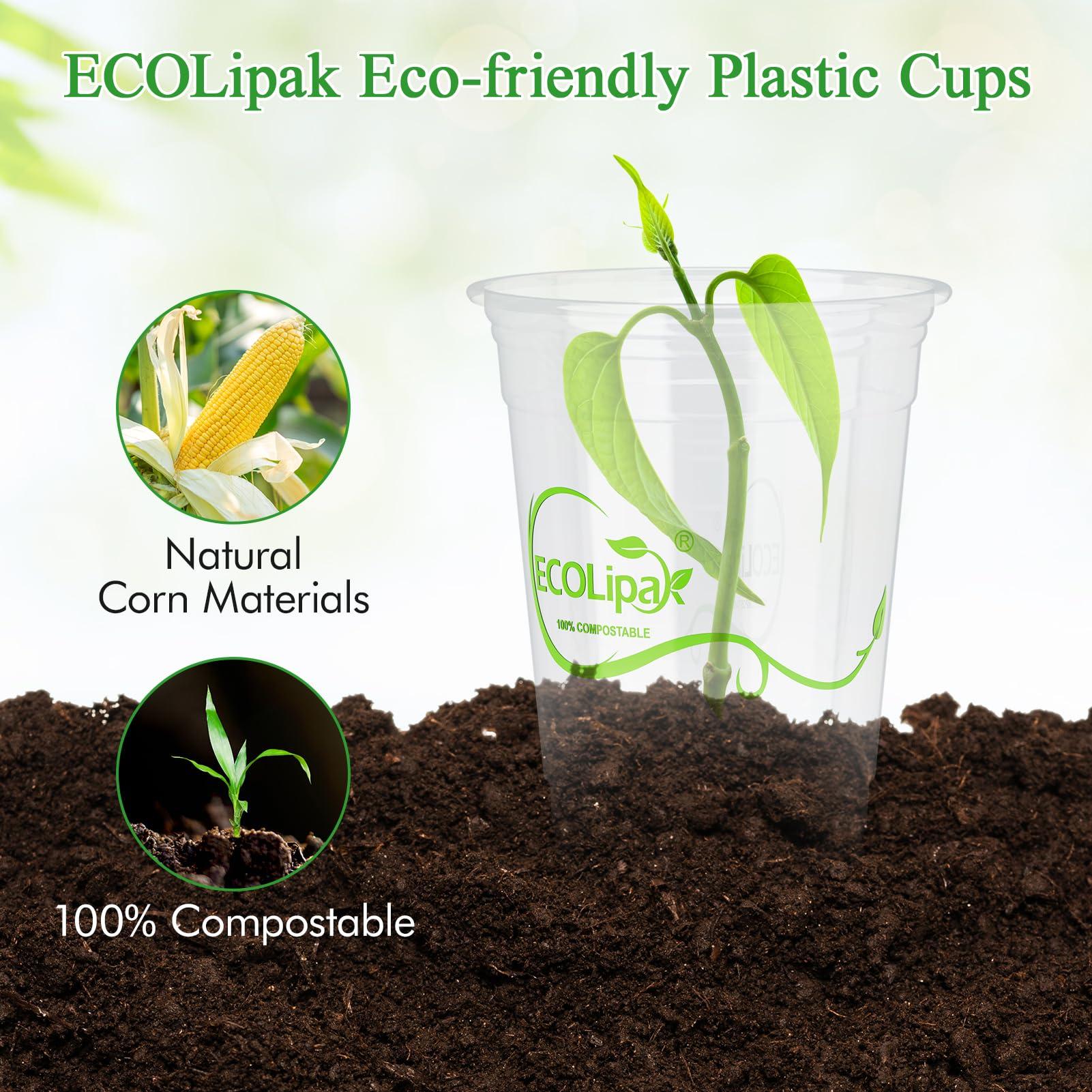 ECOLipak ECOLipak 1000 Count 12 OZ Clear Compostable Plastic Cups, Disposable Plant-Based Biodegradable Drinking Party Cups, PLA Plastic Cold Tumblers for Restaurant, Office, Canteen, Large Gathering
