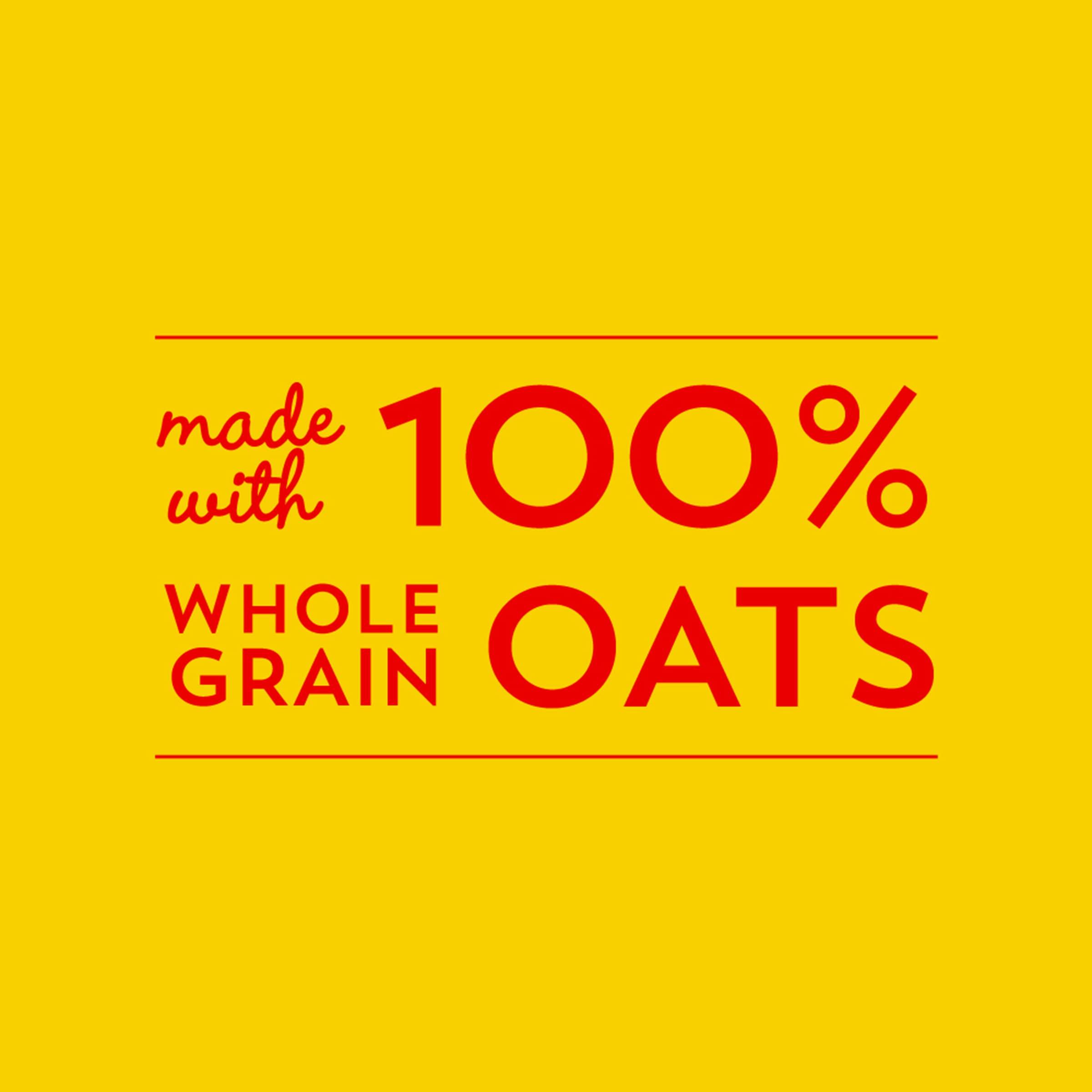 Cheerios Big G Cereal Original Cheerios Gluten Free Cereal, 28 OZ Resealable Bag