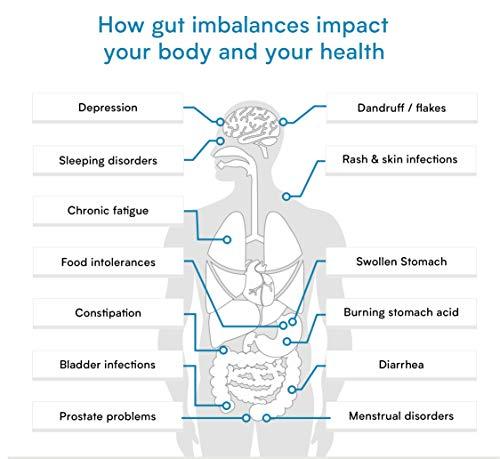 Verisana Leaky Gut Complete Stool Test – Determine Leaky Gut Syndrome, Candida & Gut Flora Imbalances – Measures Secretory IGA & Zonulin