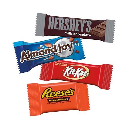 HERSHEY'S Hershey Assorted Chocolate Snack Size, Candy Bag, 15.57 oz (30 Pieces)