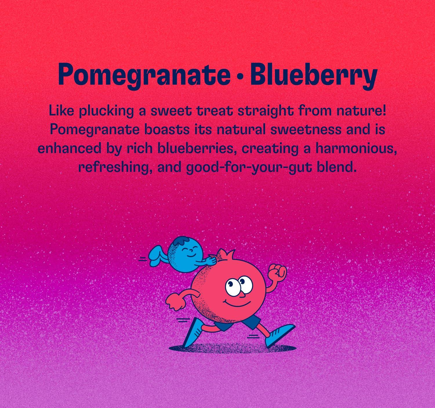 Health-Ade Health-Ade Kombucha Tea Organic Drink, Fermented Tea with Living Probiotics, Detoxifying Acids, Supports Gut Health, Non-GMO, Vegan, Gluten Free, 12 Pack (16 Fl Oz Bottles), Pomegranate Blueberry