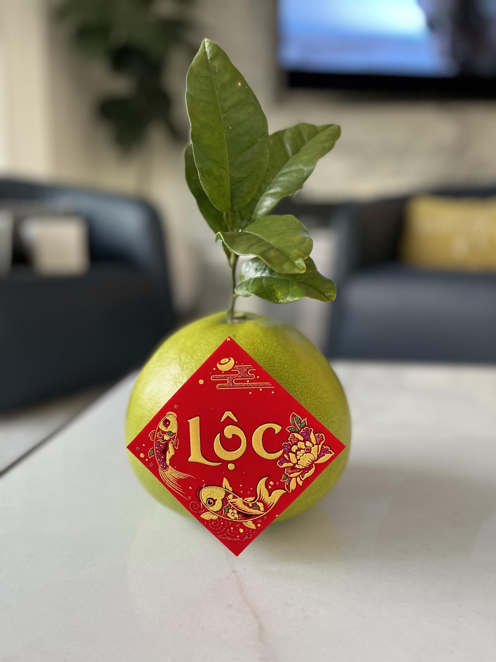 VN Red Velvet Stickers for TET Decoration - Watermelon, Grapefruit, Rice Cakes, Banh Chung & Banh TET