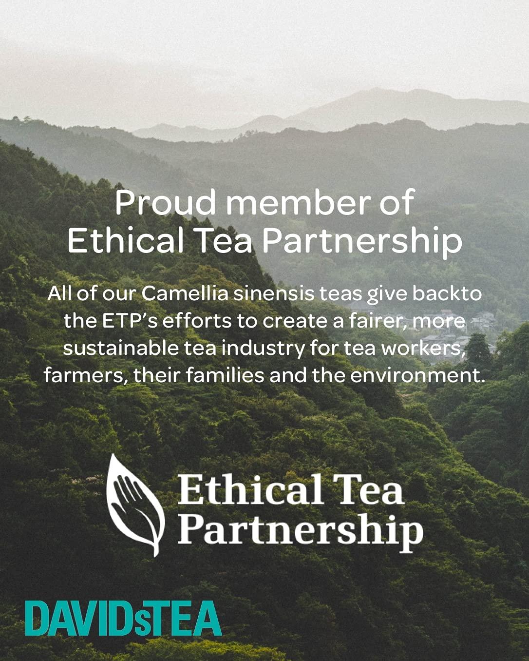 DAVIDsTEA DAVIDsTEA Organic Cream of Earl Grey Tea Sachets, Premium Black Tea with Bergamot and Vanilla, 75 Teabags Total