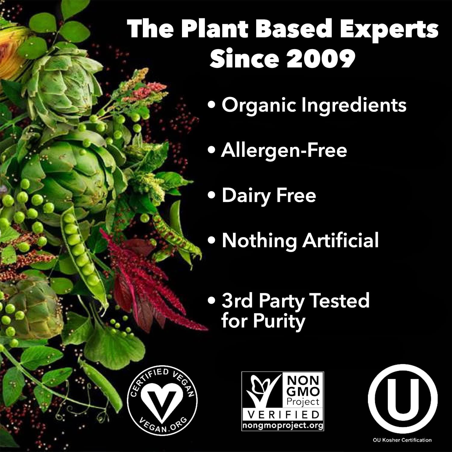 PlantFusion PlantFusion Complete Vegan Protein Powder - Plant Based Protein Powder With BCAAs, Digestive Enzymes and Pea Protein - Keto, Gluten Free, Soy Free, Non-Dairy, No Sugar, Non-GMO - Vanilla Pack of 12