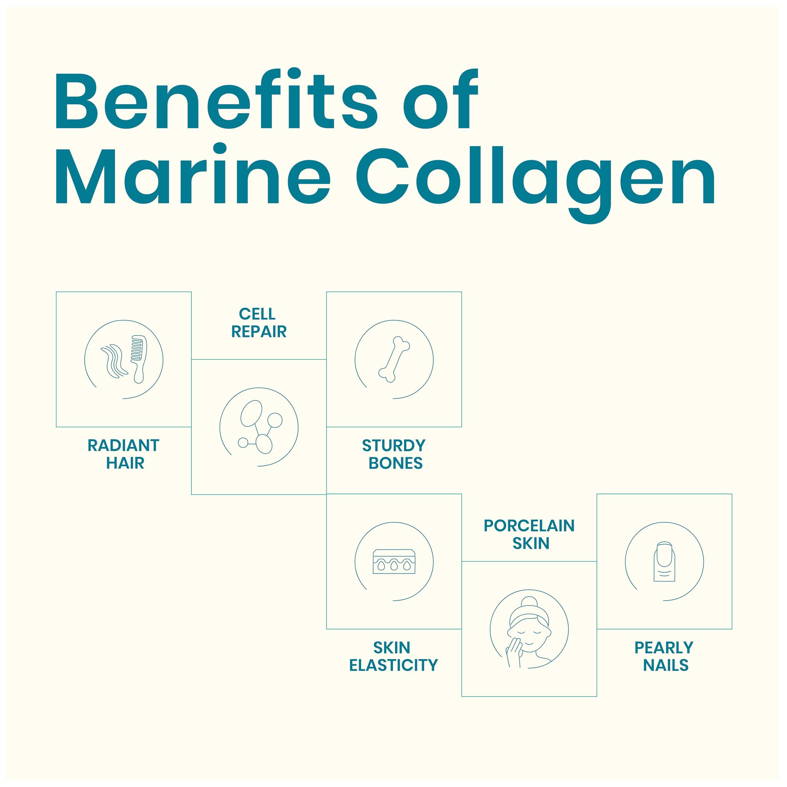 EarthNutri EarthNutri Marine Collagen Peptides Powder Supplement for Skin, Hair & Nails Enhances Skin Elasticity & Hydration Hydrolyzed Collagen 5000mg per Serving Non-GMO Ocean Breeze (30 Sticks Pack)