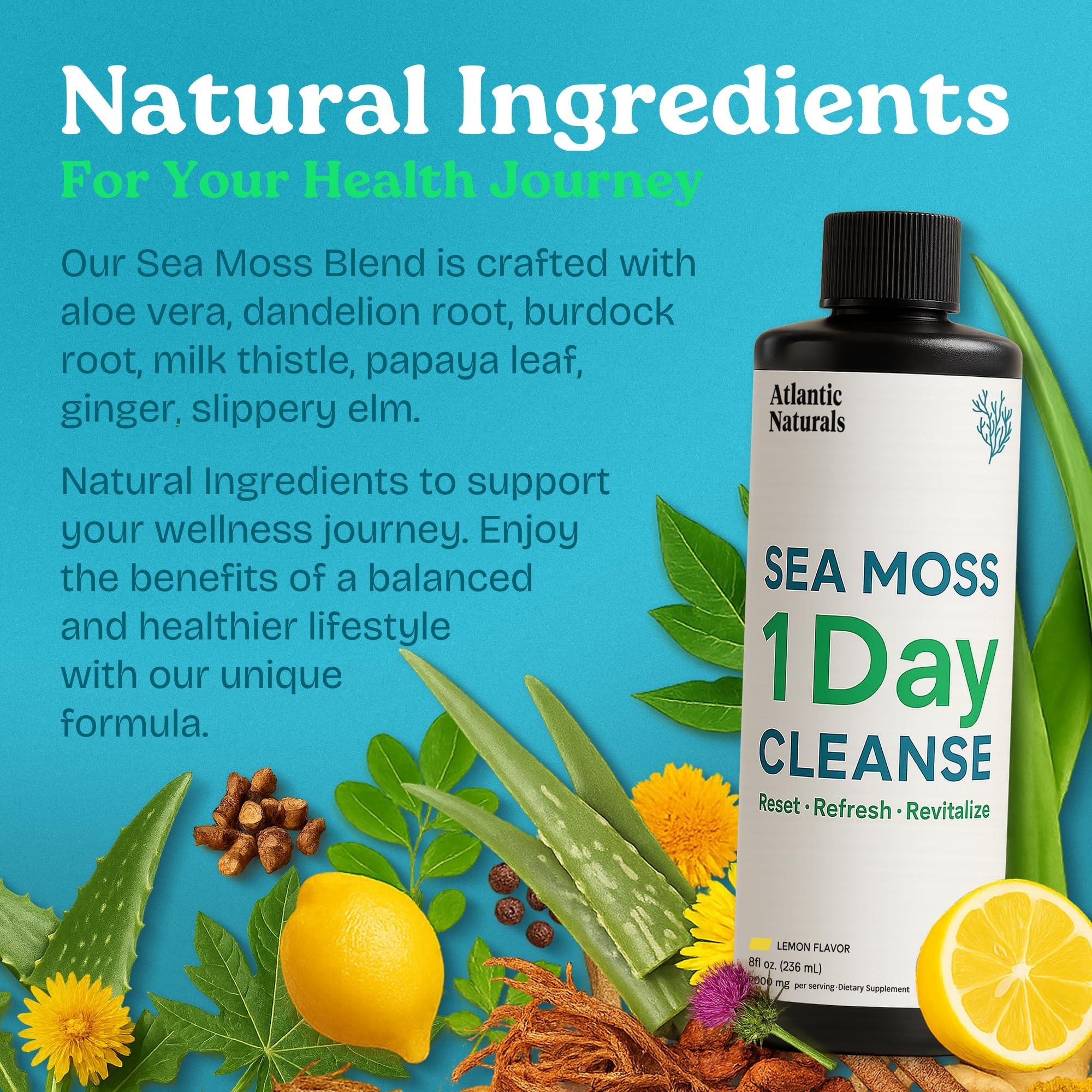 Atlantic Naturals Atlantic Naturals - 1 Day Colon Cleanse Full Body Detox Drink - Sea Moss Supplement for Women & Men, Gut Health, Kidney & Liver Immune Energy Enhancer Gut Cleanse - Lemon Flavor Juice, 8 fl oz