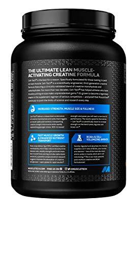 MuscleTech Creatine Monohydrate Powder MuscleTech Cell-Tech Creatine Powder Post Workout Recovery Drink Muscle Builder for Men & Women Musclebuilding Supplements Tropical Citrus Punch, 3 lbs (27 Serv)