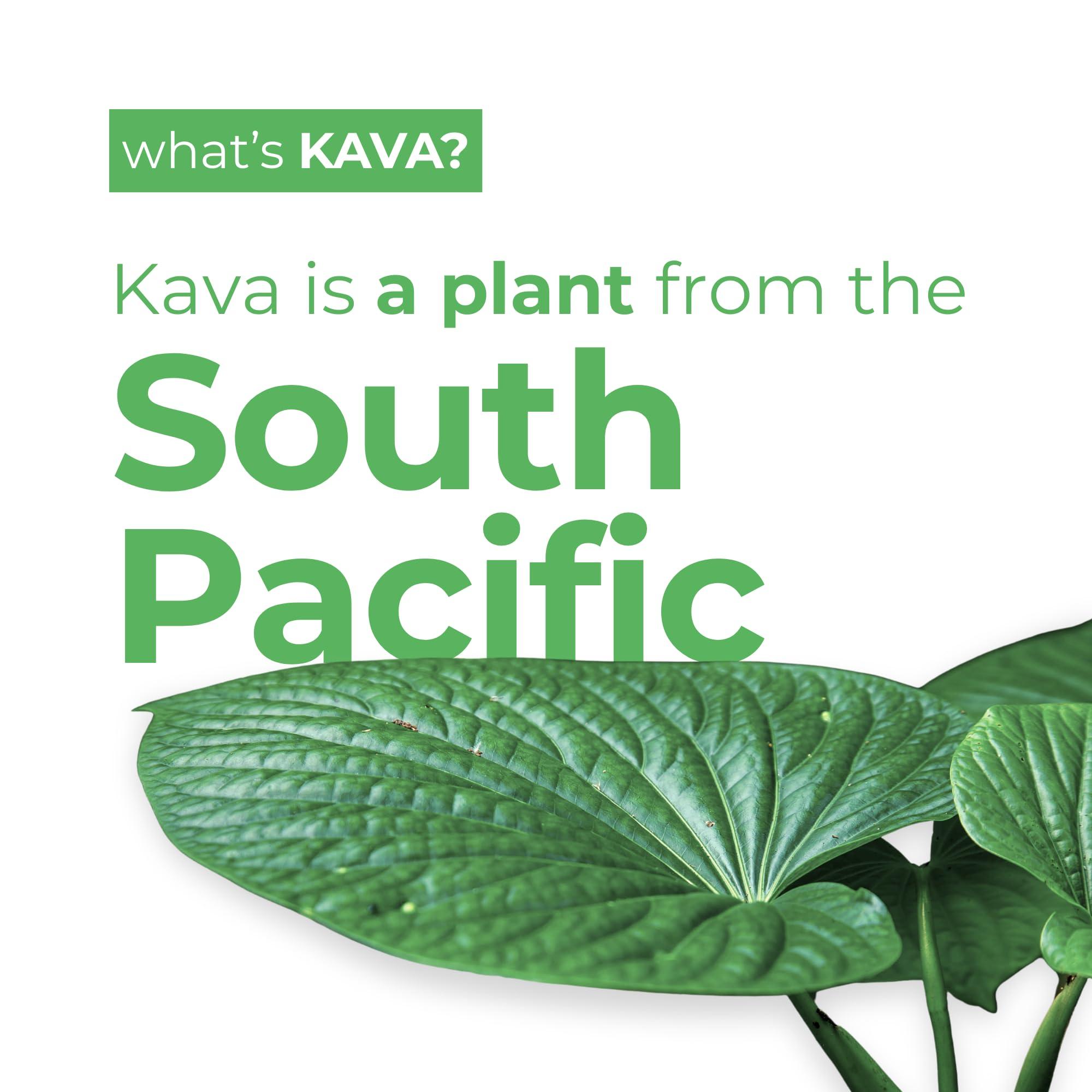 LEILO LEILO | Kava Powered Sparkling Relaxation Drink | Variety Sampler 6-Pack Non-ALC Calming Beverage Includes (3) Classic & (3) Mocktail Flavors | 12 fl oz Cans (Pack of 6)