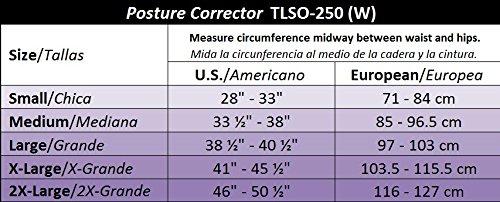 GABRIALLA GABRIALLA Mid and Lower Back Posture Corrector for Women TLSO-250: Large