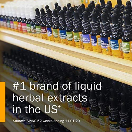 Herb Pharm Herb Pharm Certified Organic Super Echinacea Liquid Extract Drops for Active Immune System Support, 2 Oz