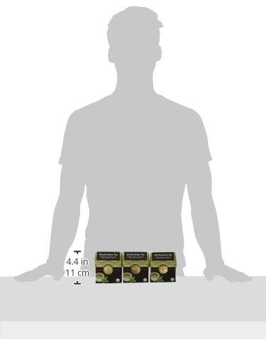 Buddha Teas Buddha Teas Sencha Tea, 18 Count (Pack of 6)
