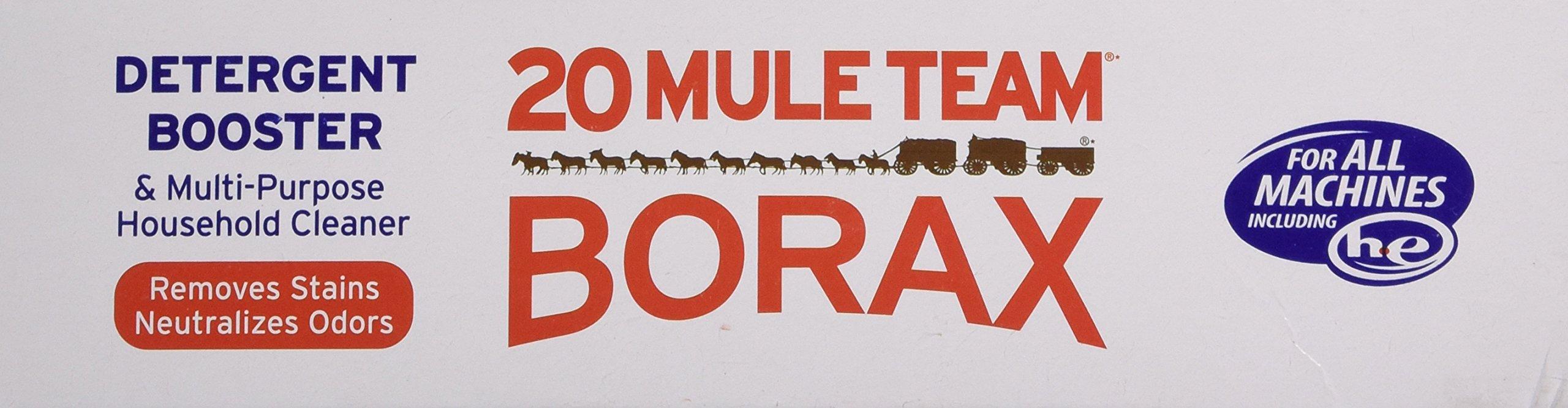 Dial Borax 20 Mule Team Detergent Booster, 65 Oz.