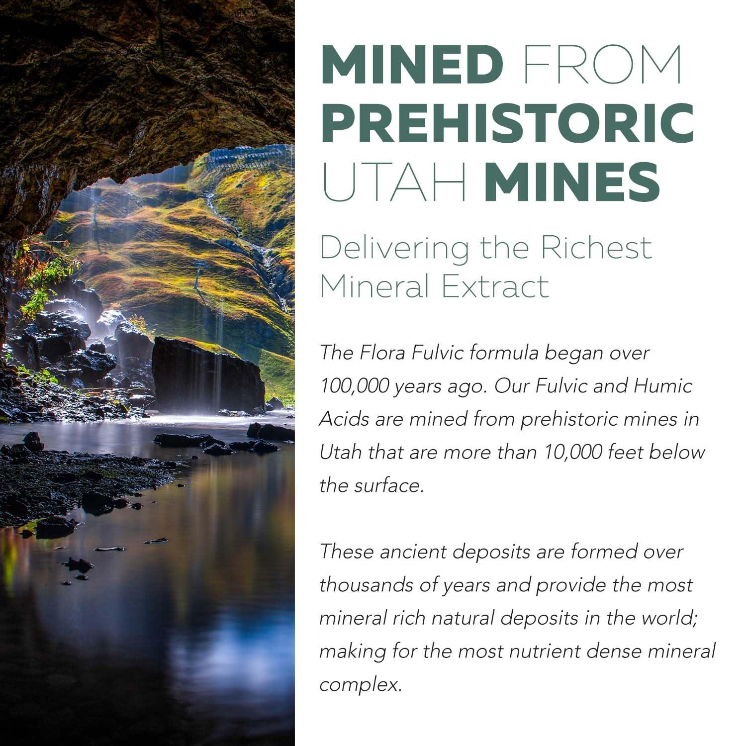 Triquetra Health Flora Fulvic | Fulvic Acid + Humic Acid Complex 550 mg |Mined in Utah, Prehistoric Deep Earth Extract | Immunity, Gut, Digestion Natural Trace Mineral Complex, Fulvic Acid Supplement 8 fl oz.