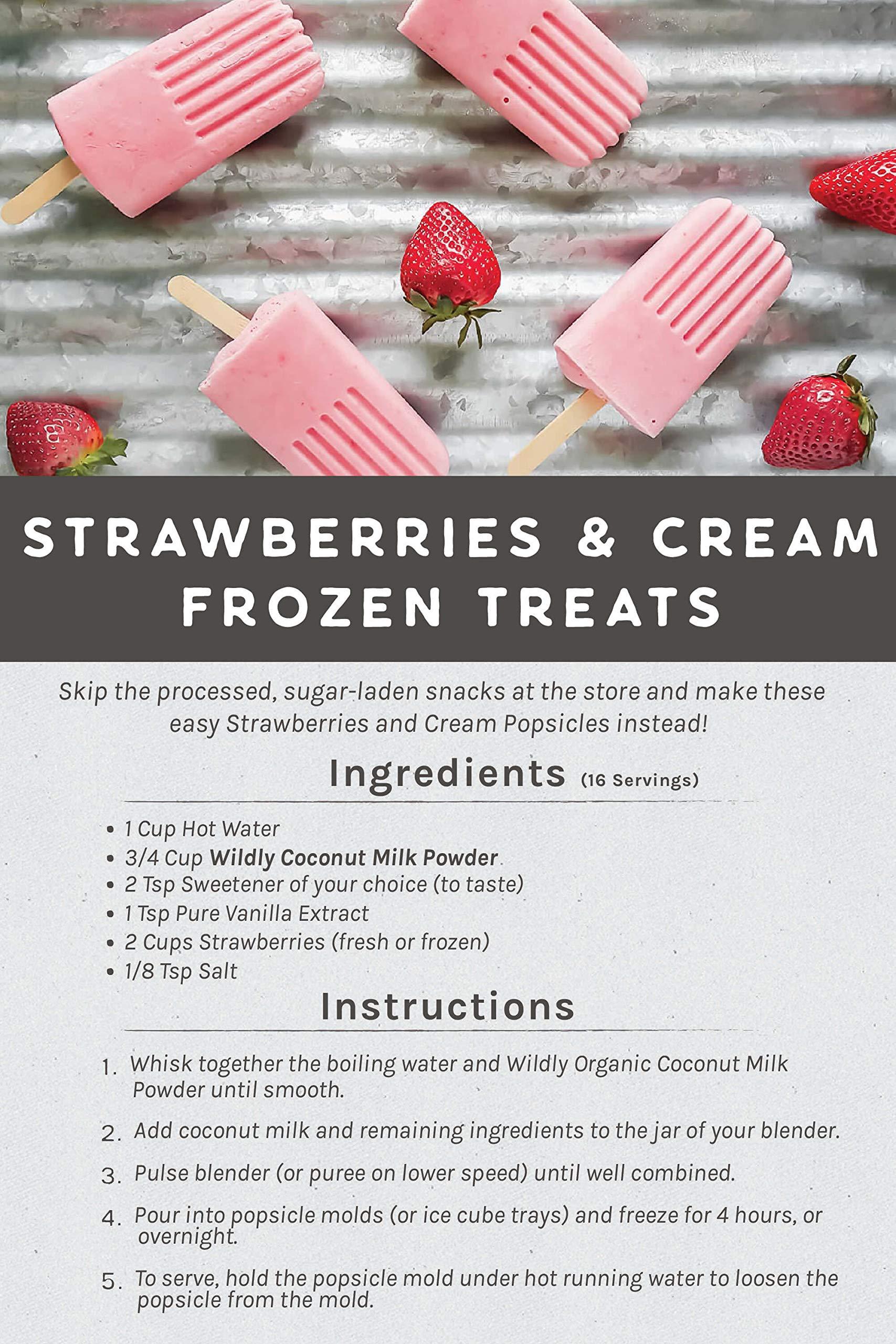 Wilderness Family Naturals Wildly Conventional Coconut Milk Powder 16 Oz, 1 lb Bag - Naturally Sweet Creamer, Extra Creamy | Perfect in Smoothies, Coffee, Baking, & Cooking