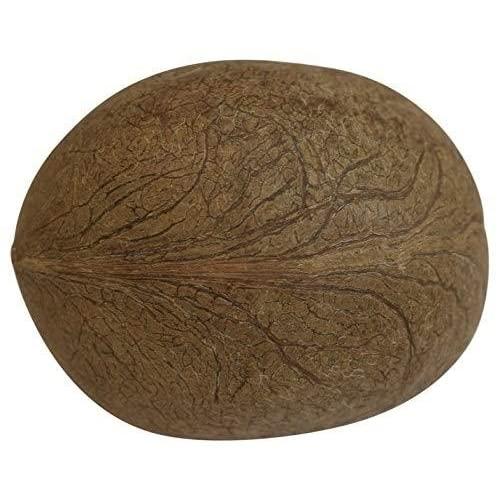 OM SHRI OM OM SHRI OM Dry Whole Coconut for Puja Indian Religious Ceremony