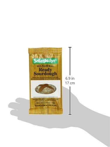 Seitenbacher Seitenbacher Natural Ready Sourdough, 2.65 Ounce (Pack of 10)
