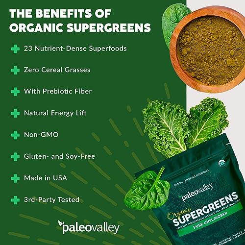 Paleovalley Paleovalley Organic Supergreens Powder - 23 Superfoods with Prebiotic Fiber for Energy and Immunity Support - No Cereal Grasses for Maximum Absorption - Pure Unflavored, 30 Servings