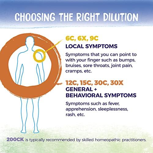 Boiron Boiron Uva Ursi 6C Md 80 Pellets for Abdominal Cramps During Urination (Pack of 2)