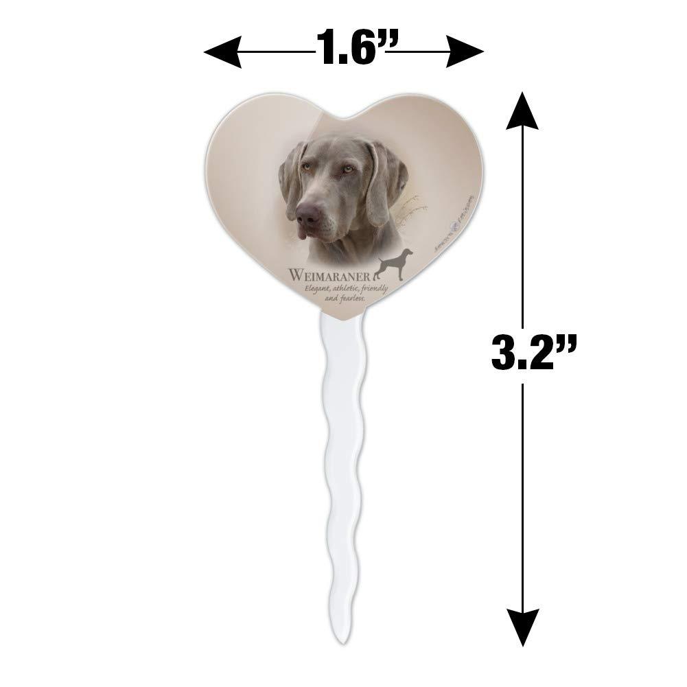 GRAPHICS & MORE Weimaraner Dog Breed Heart Love Cupcake Picks Toppers Decoration Set of 6