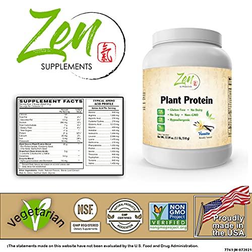 Zen Supplements Zen Supplements - Plant Protein-Vanilla 510G 1.1LB-Powder- 25 Grams of Protein Per Serving -Vegan, Low Net Carbs, Non Dairy, Gluten Free, Lactose Free, No Sugar Added, Soy Free, Kosher, Non-GMO