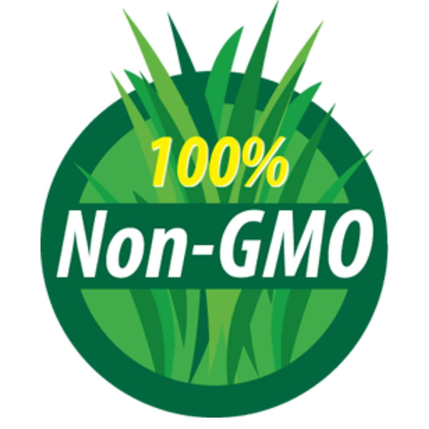 Handy Pantry Organic Dried Green Lentil Sprouting Seed: 8 Oz - Dry Lentils for Planting Garden Seeds, Soup, Cooking or Sprout Salad, Sprouts