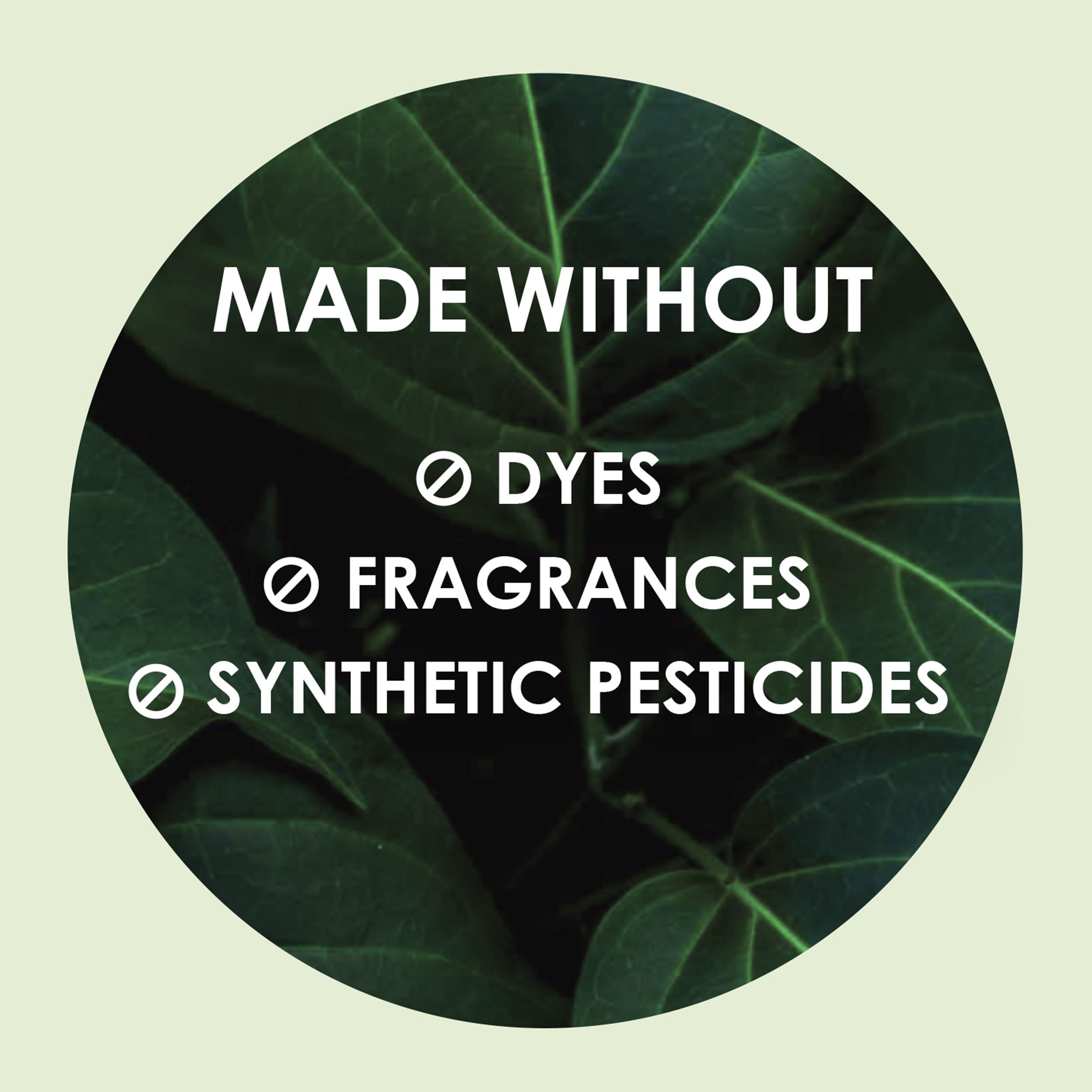 L. L. Ultra Thin Pads for Women, Super Absorbency, 100% Pure Cotton Top Layer, Unscented Pads with Wings, 56 Count Total