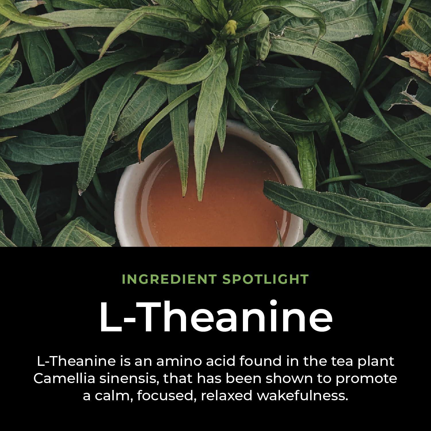 CogniTea CogniTea Productive Energy Tea - Enhanced Focus & Energy with 100mg L-Theanine, 90mg Caffeine Organic Guayusa & Yerba Mate, Assam Black Tea - Crash-Free Cognitive Boost