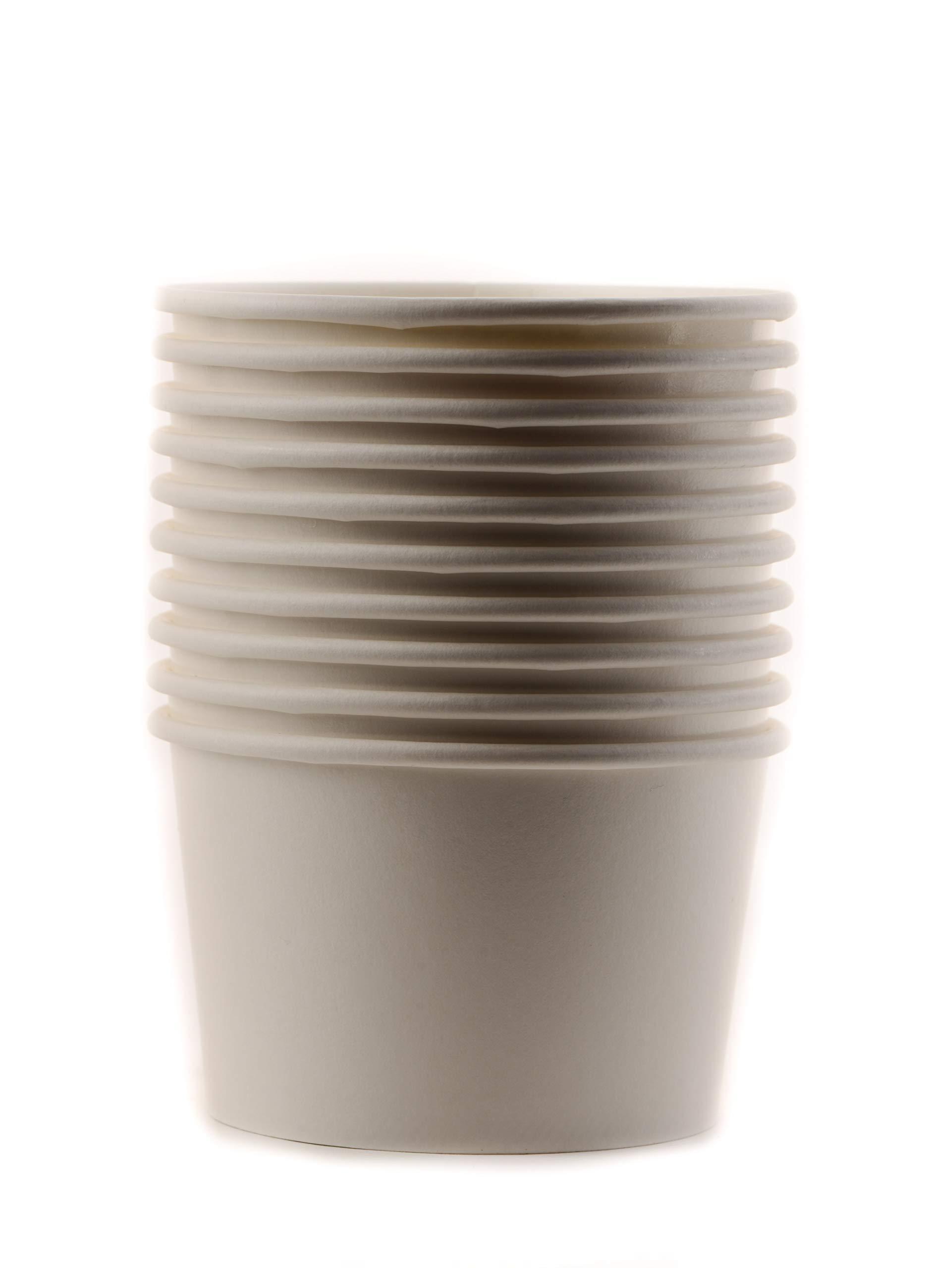 EcoQuality [500 Pack] 8 oz Disposable White Paper Soup Containers with Plastic Lids - Paper Ice Cream Cups - Dessert Bowls , Frozen Yogurt Cups - Food Storage Containers, Microwavable and Freezer Safe Take Out