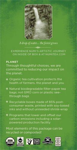 Numi Numi Organic Tea Mate Lemon, 18 Count (Pack of 2), Yerba Mate Green Tea Blend (Packaging May Vary)