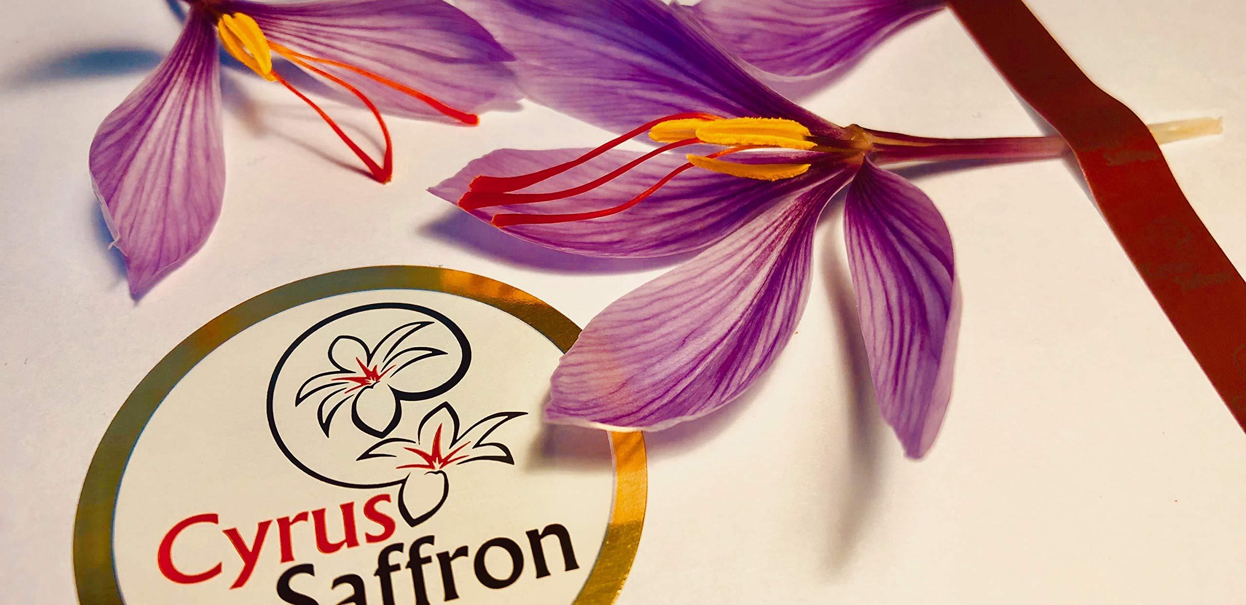 Great Low Carb Bread Co. Great Low Carb Bread Company - Fettuccine Pasta, 8 ounces - 2 Packs