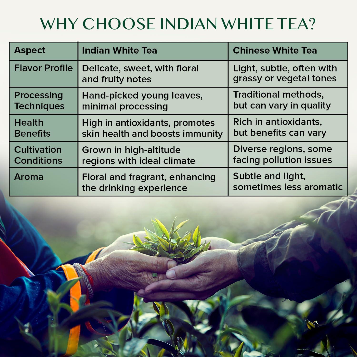 VAHDAM VAHDAM, Earl Grey Imperial White Tea Loose Leaf (25 Cups/1.76oz) High Elevation Grown, White Tea Loose Leaf Tea | Brew As Hot Tea Or Iced Tea | Pure Unblended Loose Leaf Tea | Vacuum Sealed