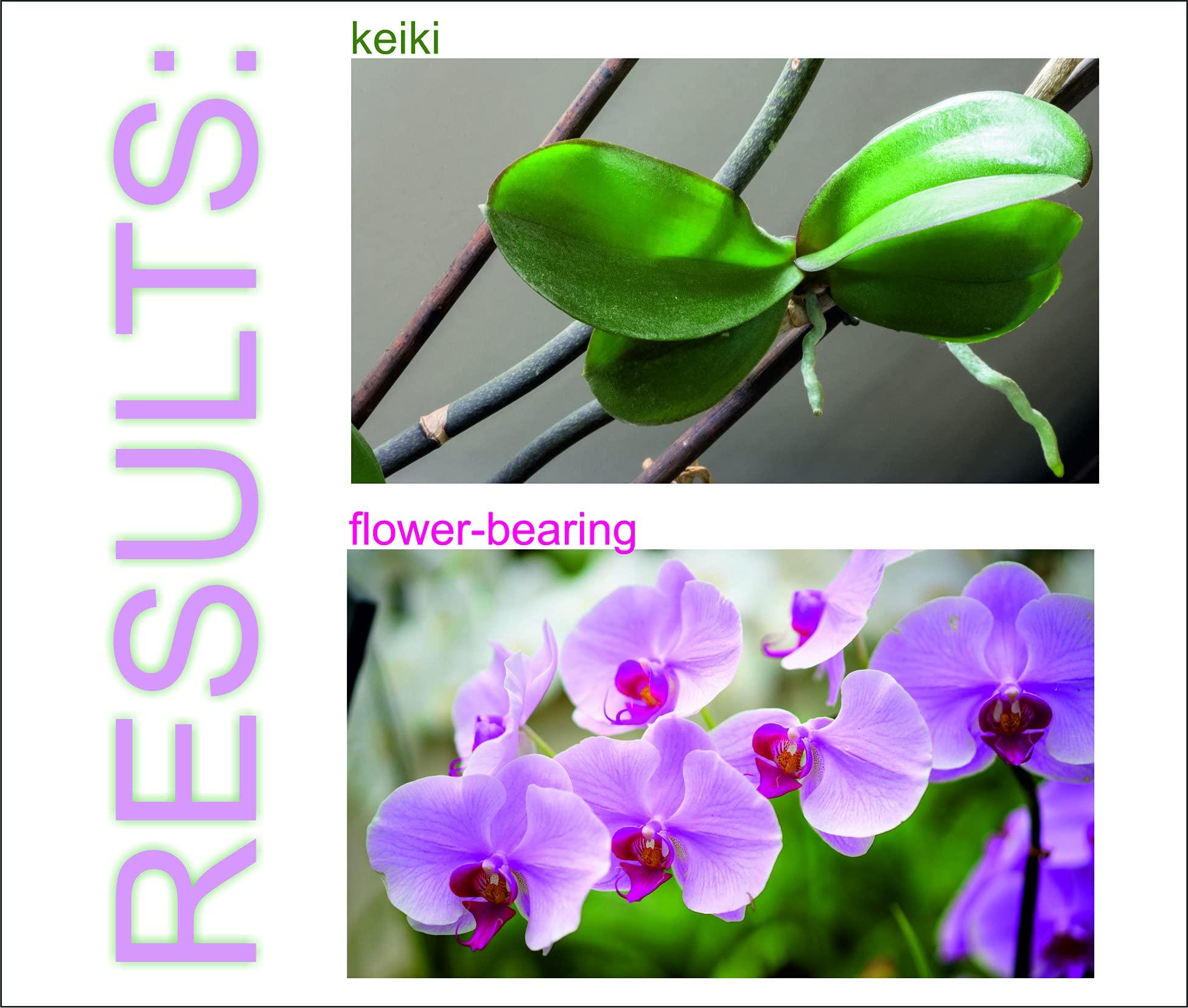 SMEREKA ELIT Orchid CLON+ Cytokinin Keiki Cloning Paste for Burgeon Awakening - Bloom Booster with Vitamins B1 and B6 (10 ml)