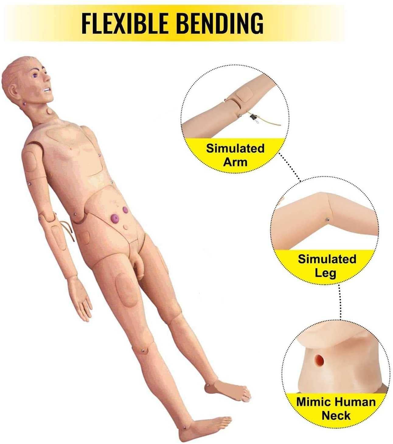 HIMFL Demonstration Human Manikin,Male and Female Nursing Manikin Life Size Patient Care Manikin for The Cure of The Patient Didactic Material in