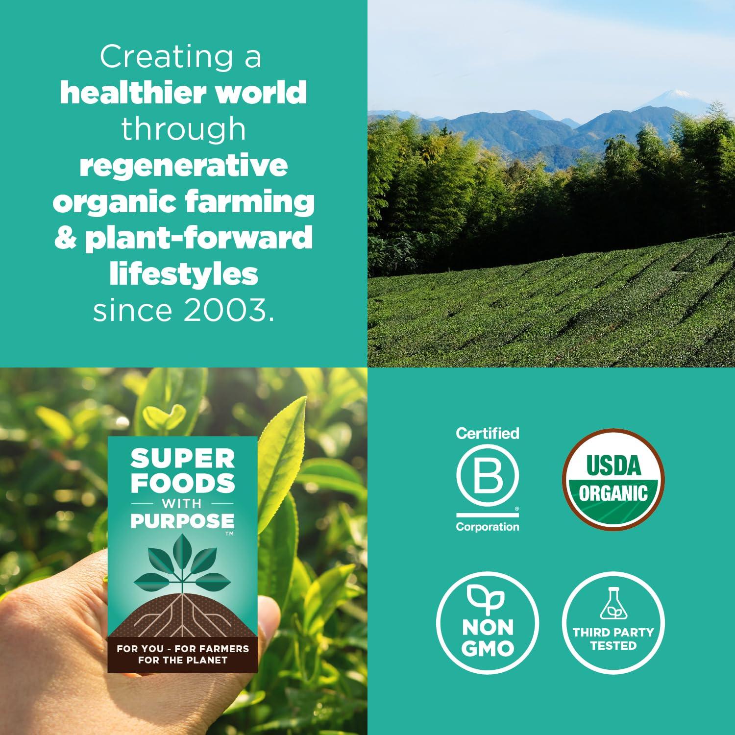 Navitas Organics Navitas Organics Matcha Latte, 11.1oz Value Size Bag, 35 Servings — Organic, Non-GMO, Dairy-Free