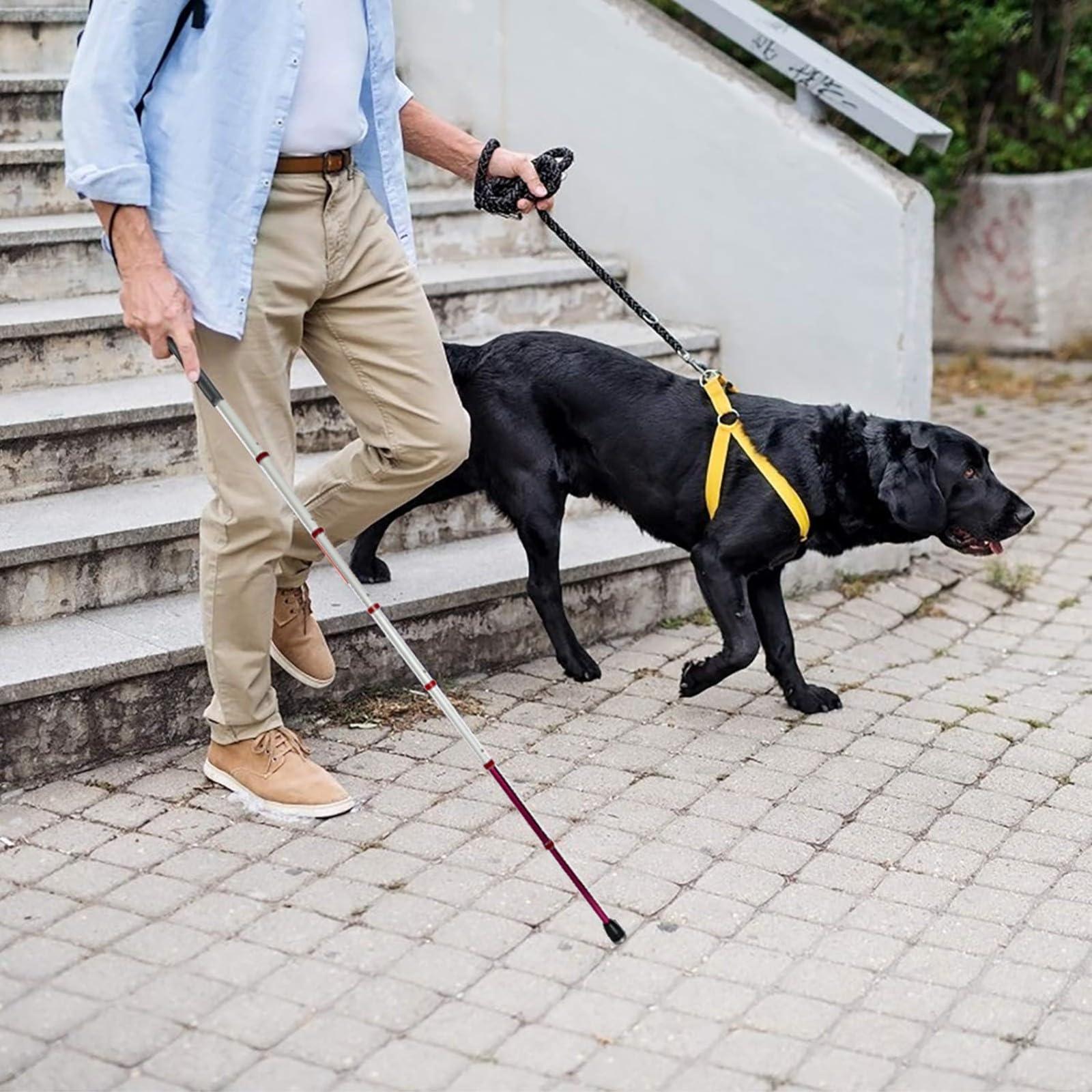 JDKMNE Walking Cane for The Visually Impaired and Blind, 8 Sections Blind Cane with Reflective(Figure 2), Titanium Alloy Telescopic Blind Walking Stick (139.5cm/55in)