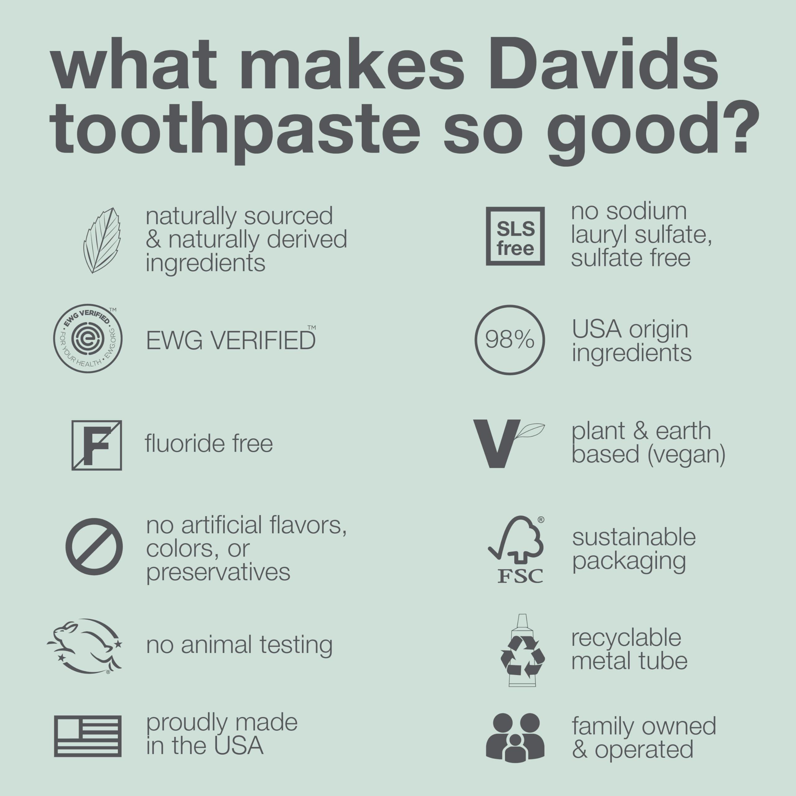 Davids Davids Charcoal Toothpaste for Enhanced Teeth Whitening, Peppermint, Antiplaque, Flouride Free, SLS Free, Enamel Safe, Toothpaste Squeezer Included, Recyclable Metal Tube, 5.25oz