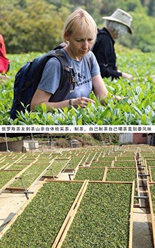 GRANDNESS China Organic White Tea Silver Needle Bai Hao Yin Zhen Silver Needle Fuding White Tea Cake 300g Bai Hao Yinzhen Silver Needle